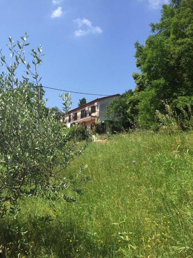 Salara house Hotel Koper Bagian luar foto