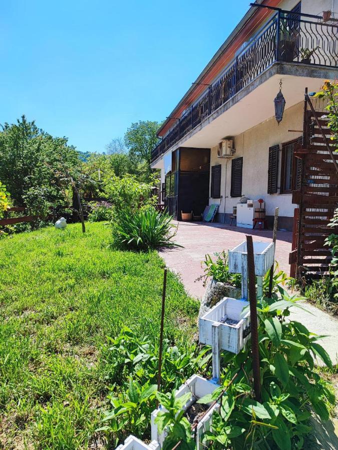 Salara house Hotel Koper Bagian luar foto